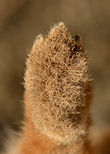 StuartOnNature